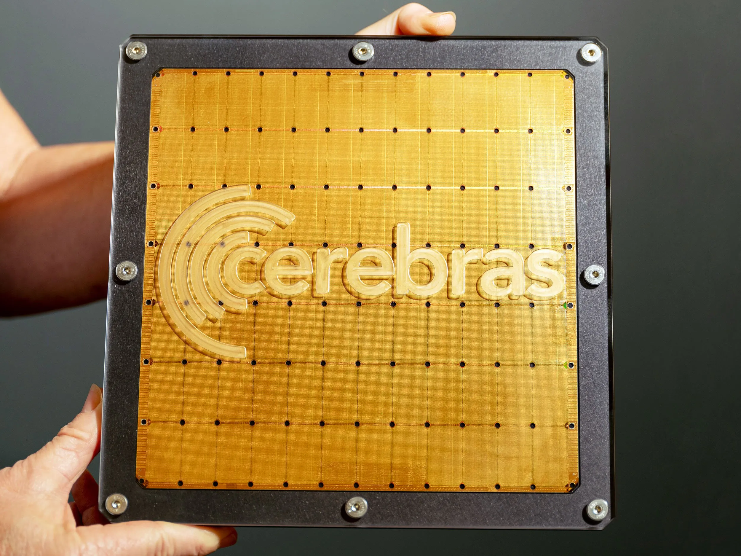 cerebras